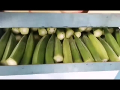 Máy sấy lạnh chân không kiểu nhà