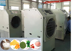 Silent Home Freeze Dryer 6-8Kg Capacity home freeze dryer phòng thí nghiệm lyophilization stayfresh freeze dryer