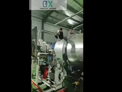 Máy làm khô đông lạnh gia đình