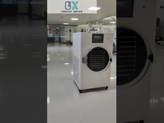 Máy làm khô đông lạnh thương mại