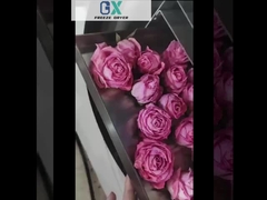 Máy làm khô lạnh công nghiệp cho thực phẩm