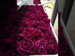 Máy làm mát bằng không khí, máy làm khô rau đông lạnh với công suất 100kg/lớp và máy bơm chân không Baosi hoặc Bitzer