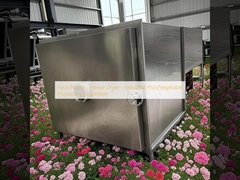 Máy đông khô nhà máy thực phẩm - Máy đông lạnh chế biến trái cây / rau quả công nghiệp