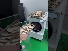 Trái cây đông lạnh khô