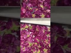 Đông khô tại nhà: Dễ sử dụng, Tiết kiệm năng lượng và Phù hợp với nhà bếp của bạn