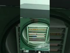 Ngăn Chặn Lãng Phí Thực Phẩm: Bảo Quản Thu Hoạch Vườn & Thức Ăn Thừa của Bạn bằng Máy Sấy Đông Lạnh Tại Nhà