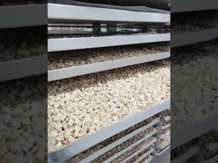 Đồng hồ: Được chế tạo để có độ bền cao: Phòng trưng bày chế biến máy sấy đông lạnh công nghiệp ít bảo trì