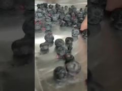 Xem: Sấy chính xác bằng máy đông khô công nghiệp cho các thành phần có giá trị cao Hợp đồng số lượng lớn