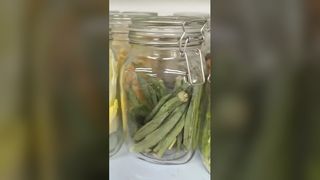 Máy sấy đông lạnh gia đình Tươi mát 25 năm