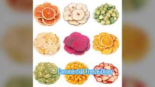 Máy sấy đông lạnh công nghiệp Cân thương mại 100kg