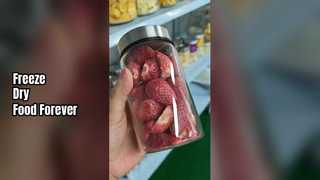 Máy sấy đông lạnh tại nhà Bảo quản thực phẩm tươi sống