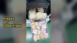 Máy sấy đông lạnh tại nhà Bảo quản Foo