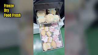 Máy sấy đông lạnh tại nhà để bảo quản thực phẩm