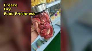 Máy sấy đông lạnh tại nhà Bảo quản thực phẩm Tối đa hóa dinh dưỡng