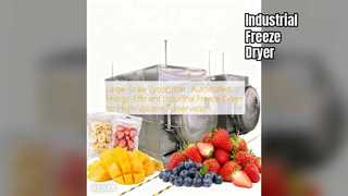 Máy sấy đông lạnh công nghiệp: Bảo quản khối lượng lớn