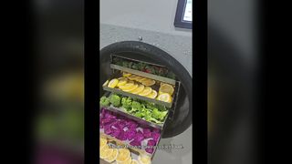 Máy sấy đông lạnh tại nhà để bảo quản thực phẩm lâu dài