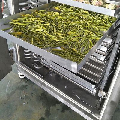 Máy làm khô đông lạnh công nghiệp thực phẩm 200 kg / lô điều khiển PLC làm mát không khí