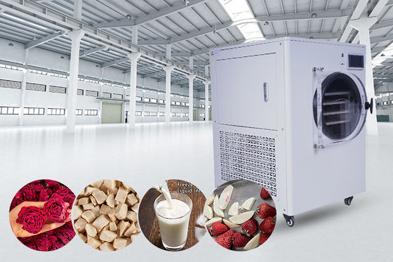 Màn hình LCD Hệ thống làm lạnh  Máy sấy đông lạnh gia dụng cho nhà và bảo quản thực phẩm