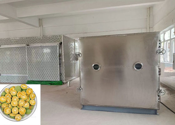 Máy làm khô đông lạnh lyophilizer 100kg / lô với đơn vị Bitzer