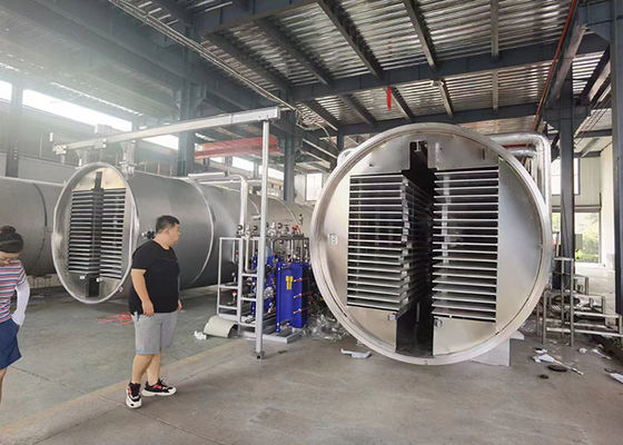 Máy làm khô đông lạnh công nghiệp chân không trung bình Thực phẩm rau