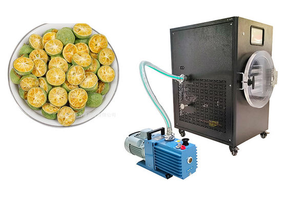 PLC điều khiển 10Kg gia đình máy sấy đông -50C đến 50C nhiệt độ