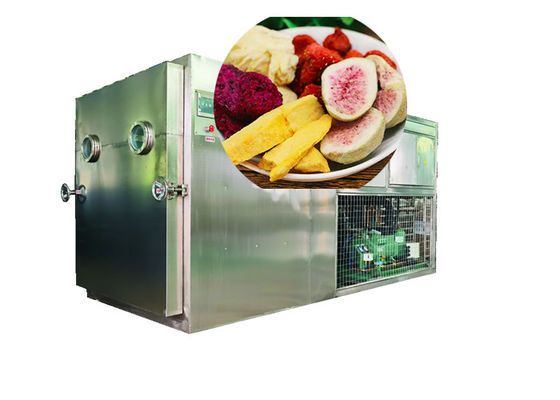 100Kg 200Kg PLC điều khiển lyophilizer ẩm ướt ẩm ướt ẩm ướt ẩm ướt ẩm ướt ẩm ướt ẩm ướt ẩm ướt ẩm ướt ẩm ướt ẩm ướt ẩm ướt ẩm ướt ẩm ướt ẩm ướt ẩm ướt ẩm ướt ẩm ướt ẩm ướt ẩm ướt ẩm ướt ẩm ướt ẩm ướt ẩm ẩm ẩm ẩm ẩm ẩm ẩm ẩm ẩm ẩm ẩm ẩm ẩm ẩm ẩm ẩm ẩm ẩm ẩm ẩm ẩm