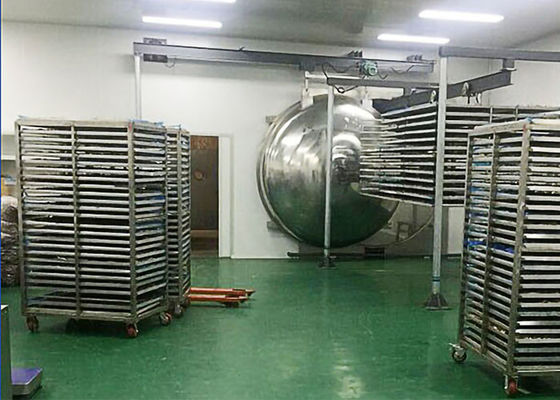 Công nghiệp dược phẩm Máy sấy đông lạnh sưởi điện