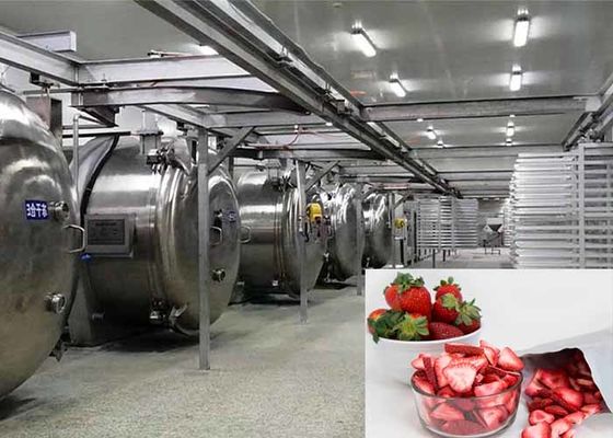 Máy làm khô đông lạnh bằng chân không thực phẩm 100kg