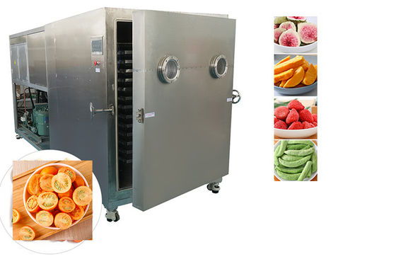 Sublimation Công nghiệp thực phẩm chân không đông lạnh máy sấy khô làm mát không khí