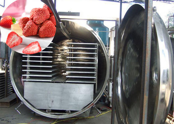 300Kg Vacuum Atla Công nghiệp thực phẩm rau củ đông khô máy