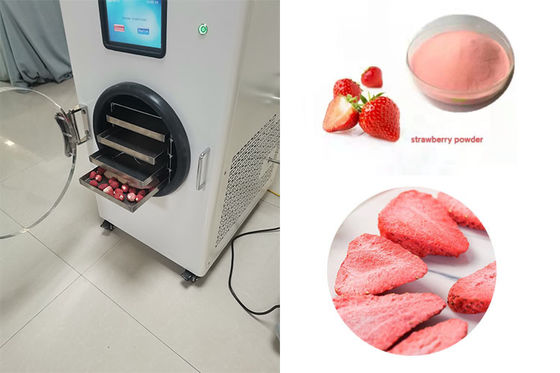 Stainless Steel Home Mini Freeze Dryer màn hình cảm ứng LCD