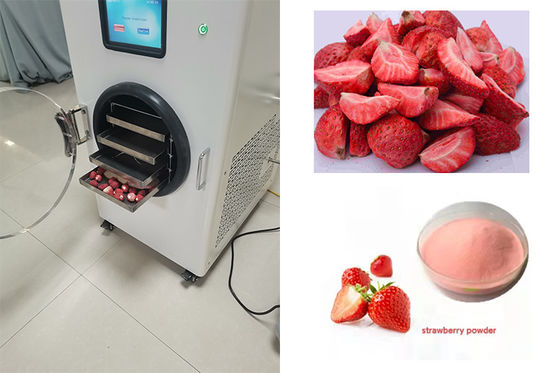 6kg Mini Freeze Dryer PLC điều khiển sưởi ấm điện