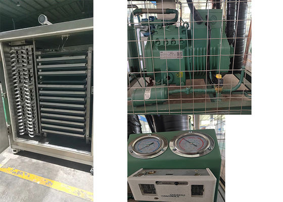 Lyophilizer thuốc đông lạnh máy sấy khô nhiệt điện chân không