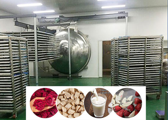 Máy làm khô đông lạnh công nghiệp thực phẩm bằng chân không 200 kg / lô