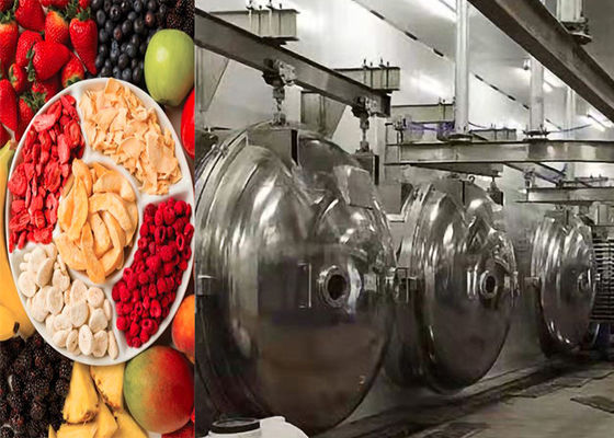 Máy làm khô đông lạnh thực phẩm công nghiệp 304 thép không gỉ