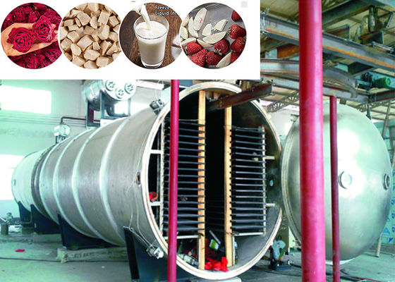 400 kg / lô Máy làm khô đông lạnh thực phẩm công nghiệp