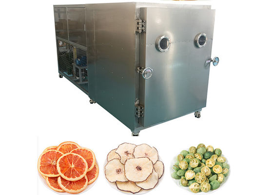 Thiết bị làm khô đông lạnh công nghiệp tùy chỉnh