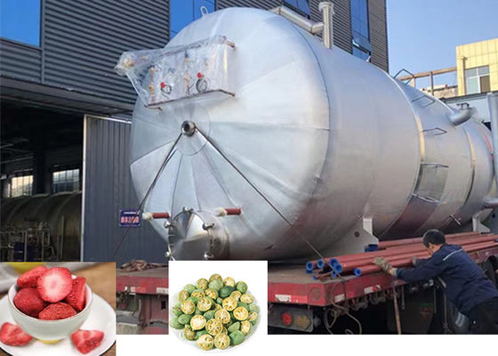 Máy làm khô đông lạnh công nghiệp lớn 300Kg 500Kg 1000Kg