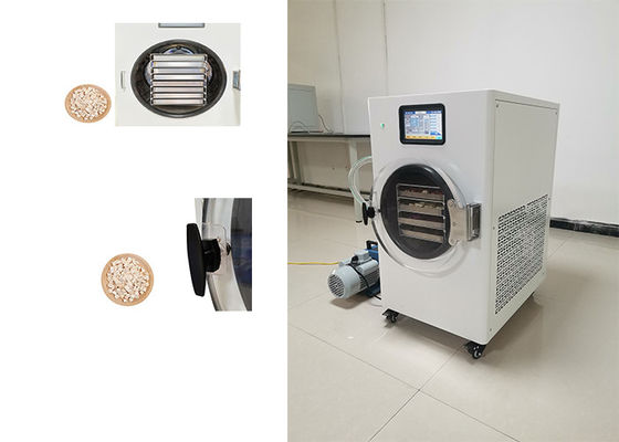 Thép không gỉ gia đình máy đông khô để bảo quản thực phẩm