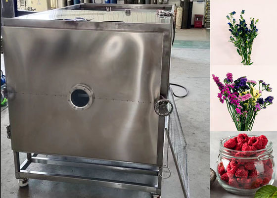 100Kg 200Kg Sữa thực phẩm thú cưng Máy sấy đông chân không