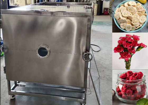 Máy sấy đông lạnh và hút bụi thực phẩm lớn Thiết bị lyophilizer