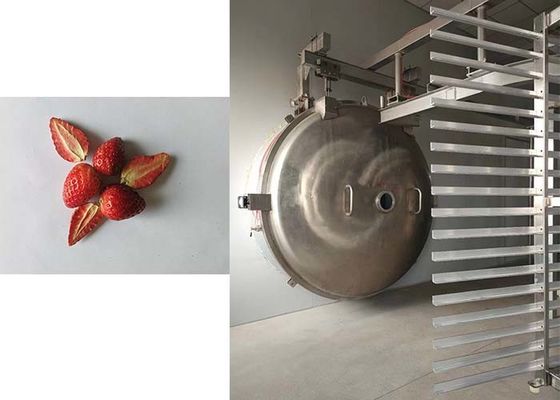 Chiếc máy đông khô công nghiệp 1000kg chính xác Giải pháp sấy khô cao cấp cho các sản phẩm công nghiệp
