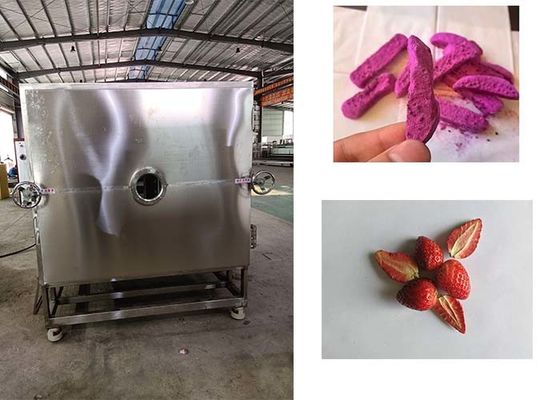 Máy đông khô rau tự động hiệu suất cao cho kết quả sấy khô tốt hơn