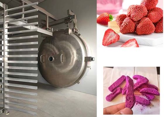 Máy sấy đông lạnh công nghiệp cho các ứng dụng sấy khô tùy chỉnh và linh hoạt