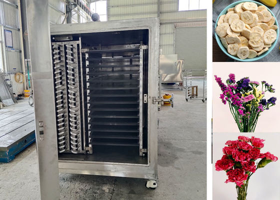 100Kg 200Kg Thực phẩm công nghiệp rau củ đông khô Máy máy thiết bị đa năng