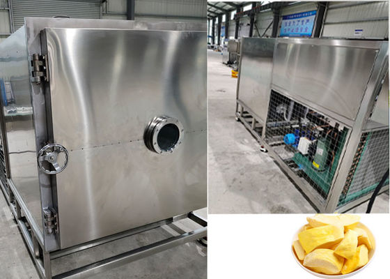 Điều khiển PLC Thiết bị máy đông lạnh trái cây khô 100Kg 200Kg
