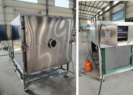 50kg100Kg Máy làm khô lạnh lyophilizer thực phẩm chân không
