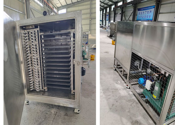 50kg 100Kg 200Kg Capacity Lyophilizer Freeze Dryer Máy hút bụi