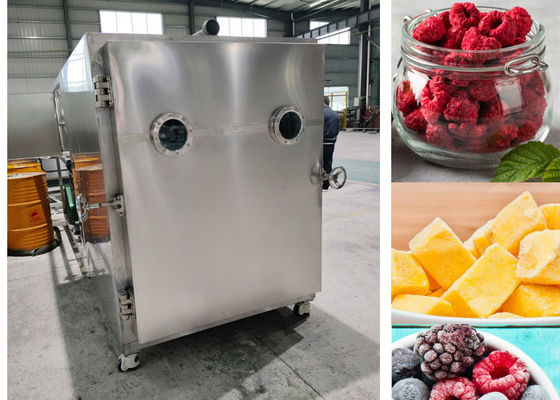 Máy đông khô nhiệt điện 200kg