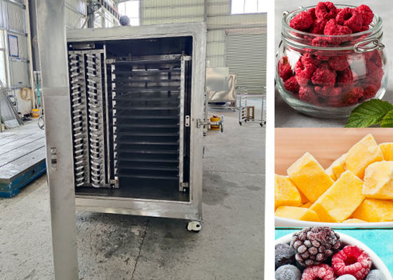 Máy làm khô đông lạnh trong chân không công nghiệp nhỏ gọn